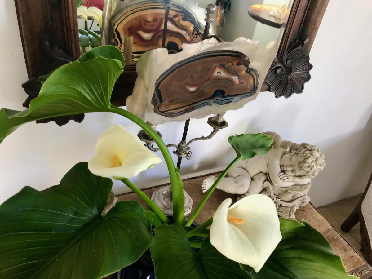 Casa Puerta Azul Absolutely The Best Of Vejer! Casas Vejer Debra 贝赫尔-德拉弗龙特拉 外观 照片
